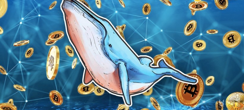 bitcoin balinalar